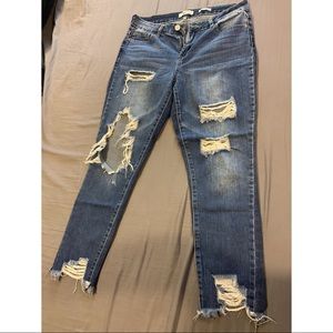 YMI dream jeans
